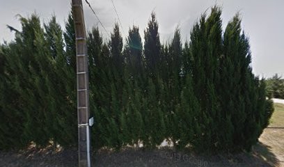 Pierres Bois Et Jardins, Paysagiste à Vienne-en-Val