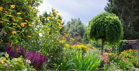 SAS MILLET ET FILS, Paysagiste à Vierzon