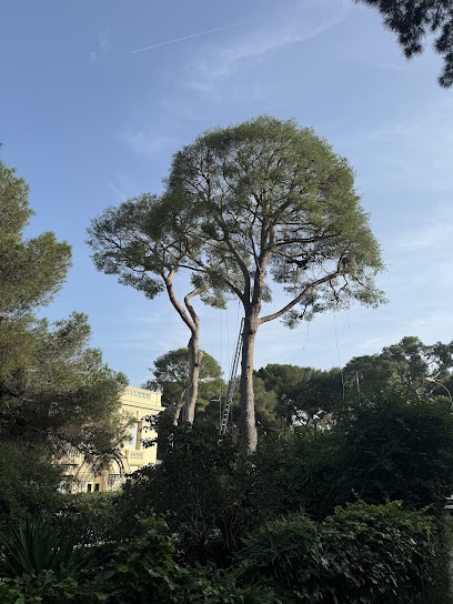 Cime & Racines Paysagiste à Nice