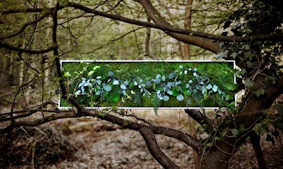 Plantestabilisee.com, Paysagiste à Courbevoie