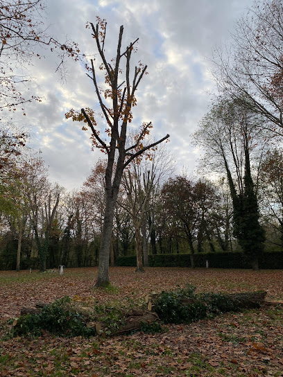 Td Jardinier - Paysagiste Et Espace Verts Toulouse, Paysagiste à Toulouse