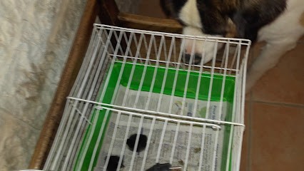 Ravaz Nicolas, Paysagiste à Auneuil