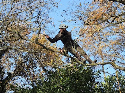 In the trees, Paysagiste à Marthon