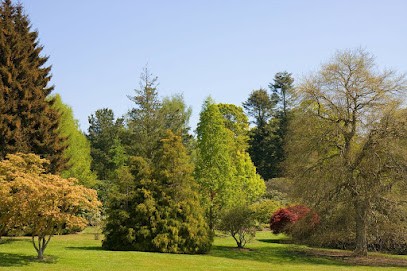 BPS Occitanie - Brenac Paysage Service, Paysagiste à Labruguière