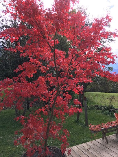 GIFFRE PAYSAGE, Paysagiste à Mégevette