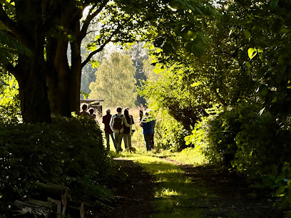 Frédéric Delesalle - Jardin Du Lansau Paysagiste à Marchiennes