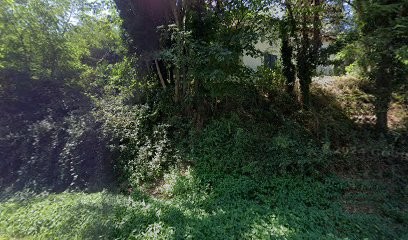 GREENWOOD, Paysagiste à Mornant