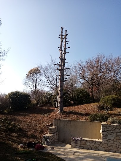 L'Atelier Paysage De Demain, Paysagiste à Saint-Romain-de-Lerps