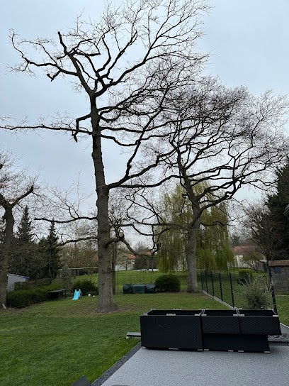 Picot Paysage, Paysagiste à Saint-Lyé