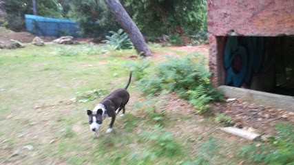 Passion paysage, Paysagiste à Contes