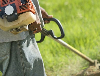 Les Serres du Jardiniste, Paysagiste à Saint-André-les-Vergers