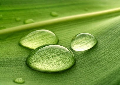 vertikaldesign - Entretien de parcs et jardins, Paysagiste à Grimaud