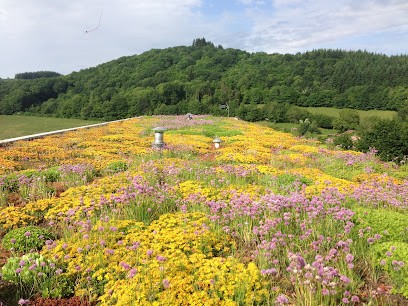 Vicaire Espace Vert, Paysagiste à Fontaines-Saint-Martin
