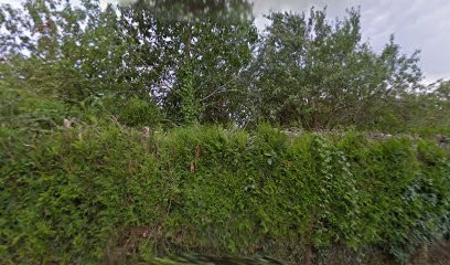 Drouillet Anthony, Paysagiste à Domloup