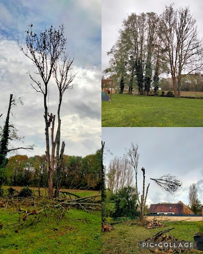 PERFECT LANDSCAPE D'EMILIO - Jardinier/Paysagiste 77, Paysagiste à La Ferté-Gaucher