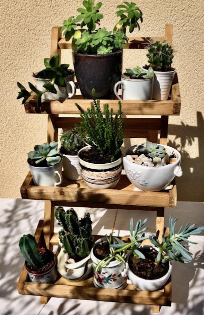 Atelier Franquette, Paysagiste au Mée-sur-Seine