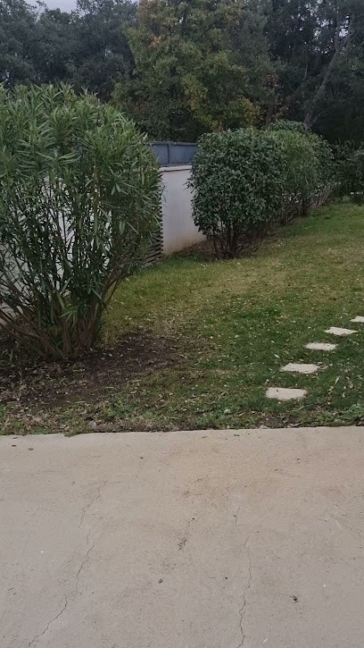 Espace vert, Paysagiste à Linguizzetta