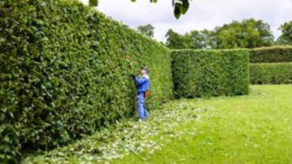 Mr berger jardinier paysagiste, Paysagiste au Puy-Sainte-Réparade