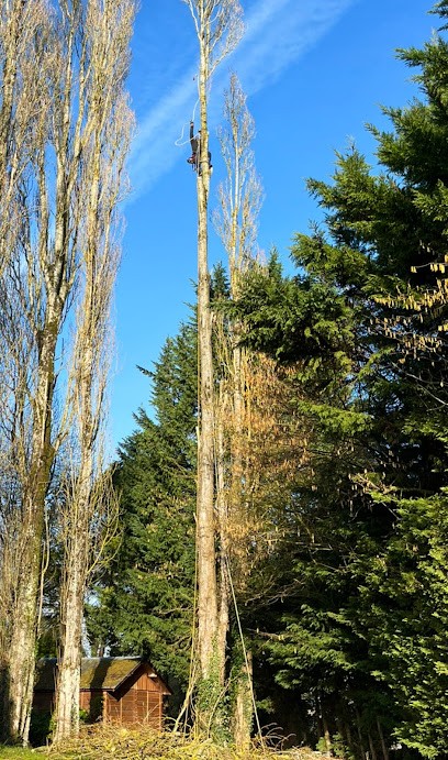 Elagage 14 : Paysagiste,Elagueur grimpeur Abattage d'arbres,Etetage,Taille de haie Calvados, Paysagiste à Lisieux