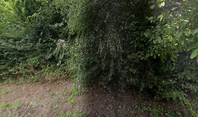 Anneheim Dominique, Paysagiste à Eschbach-au-Val