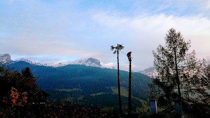 ELAGAGE GAUTHIER PAYSAGISTE, Paysagiste à Olby