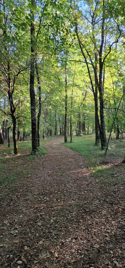 Jardi Atti'tude Paysagiste à Montmoreau
