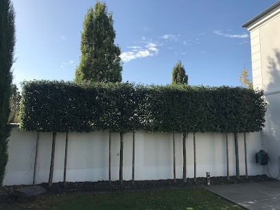 Monsieur Ours, Paysagiste à Chessy