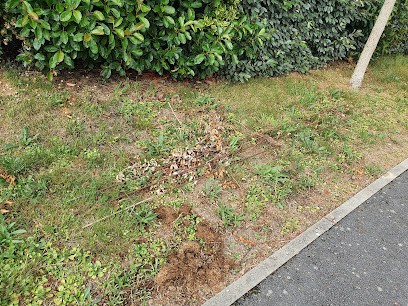 Sens Ô Jardins, Paysagiste à Saint-Mars-du-Désert