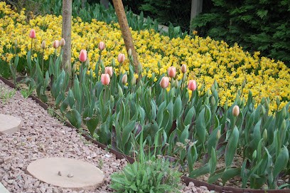 D.P. Paysagiste, Paysagiste à Pulversheim