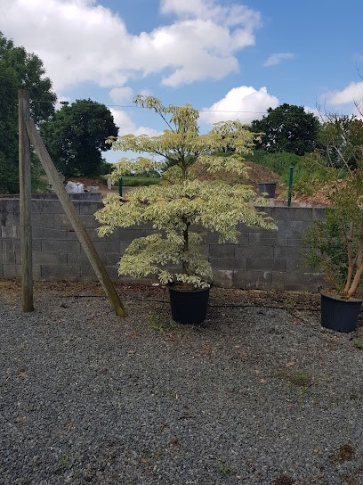 Paysage Et Pépinières Du Guillord, Paysagiste à Quemper-Guézennec