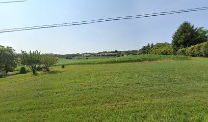 Ozon Espaces Verts, Paysagiste à Saint-Symphorien-d'Ozon