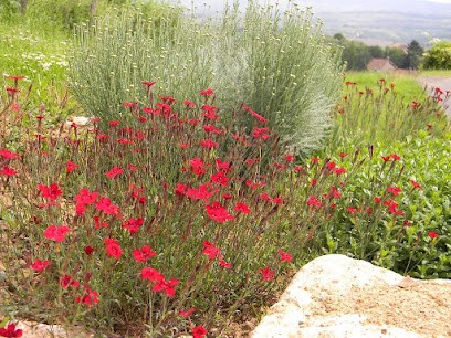 Thévenin Daniel, Paysagiste à Ancy