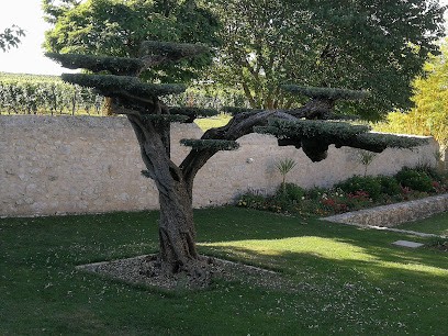 Harmonie Jardin, Paysagiste à Gardegan-et-Tourtirac