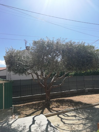Costières paysages, Paysagiste à Nîmes