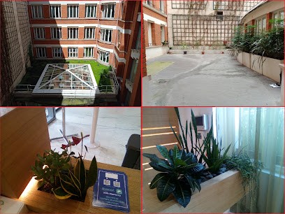 Beautiful green, Paysagiste à Savigny-sur-Orge