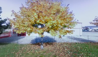 Au Jardin Services, Paysagiste à Burnhaupt-le-Bas