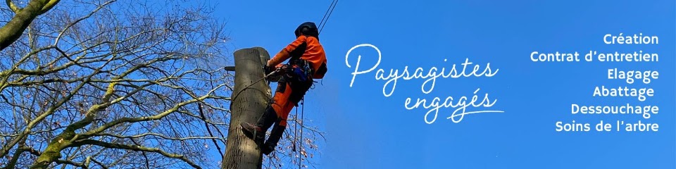 L'arbre D'ornement, Paysagiste à Linselles