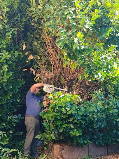 Riddance Débarras, Paysagiste à Guéreins