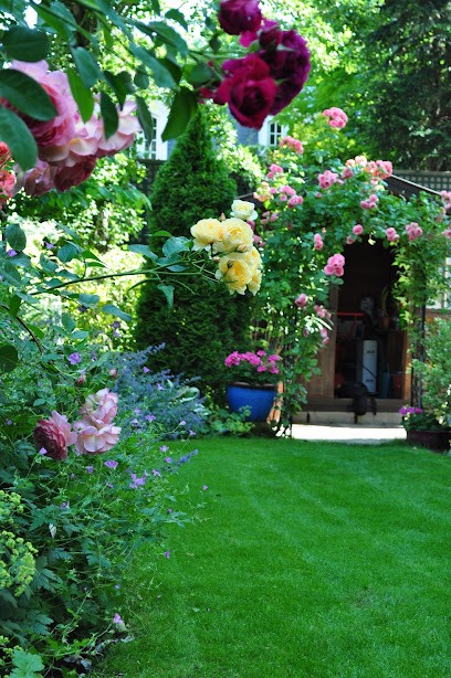 Vert Ambiance, Paysagiste à Irigny