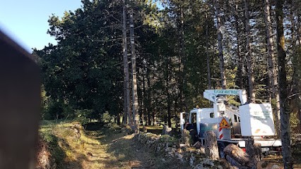 Paysagiste espace vert JARDIFRANCE, Paysagiste à Eysines