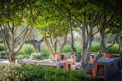 Dezign-UP, Paysagiste à Lyon 01