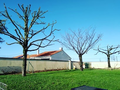 Carma Paysage, Paysagiste à Mesnac