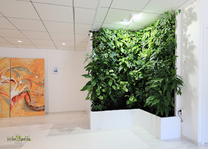 Hydrosmose Design Végétal " Création De Murs Végétaux Naturels À Toulouse ", Paysagiste à Toulouse