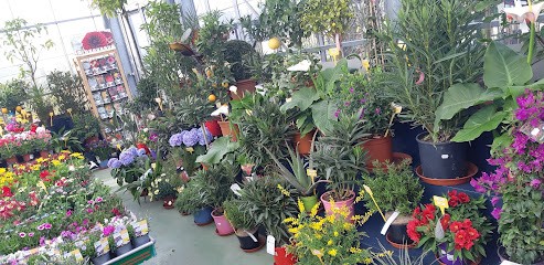 LA JARDINERIE D’ERISA, Paysagiste à Plouër-sur-Rance