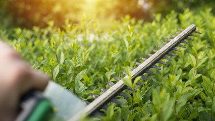 Sarl Lamorlette Paysage, Paysagiste à Neuflize