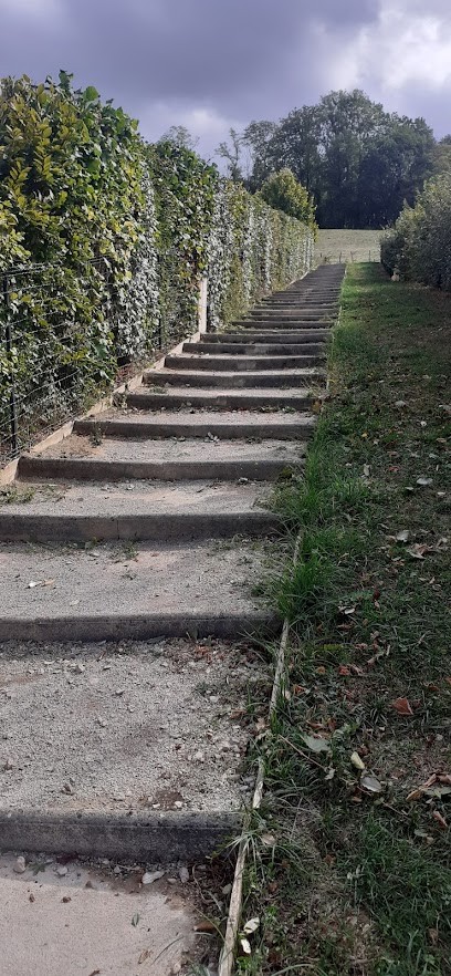 Clody Sébastien, Paysagiste à Lons-le-Saunier