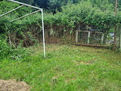 Jn Elagage Paysagiste à Roche-la-Molière