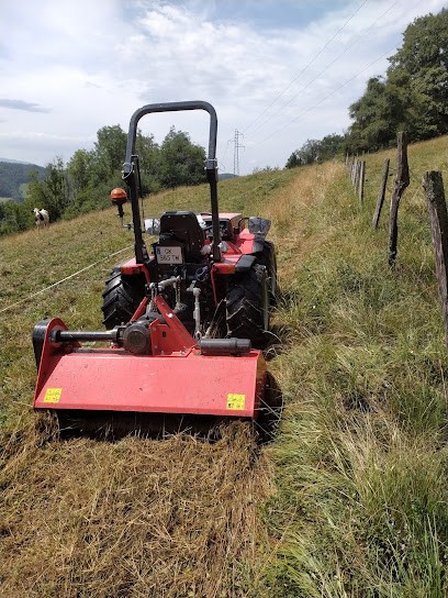 TEMHA - Travaux Entretien Montagne & HAbitat, Paysagiste au Noyer