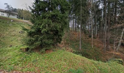 Jean-Marie Martin Paysagiste, Paysagiste à Saxel