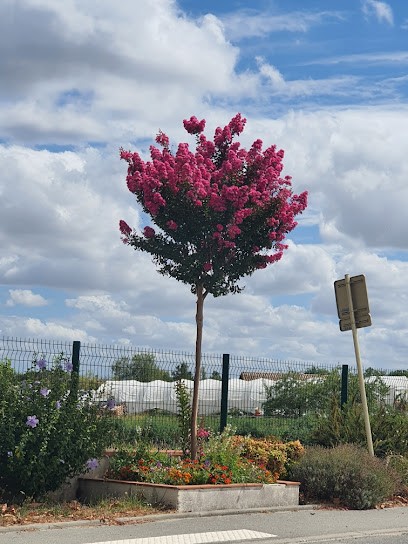 Coteaux Paysage, Paysagiste à Donneville